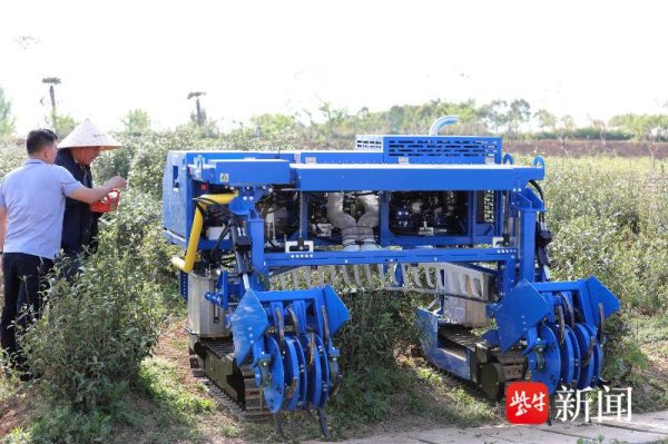 信悦网配资 无人驾驶一体化设备 助推茶叶生产智能化升级