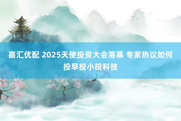 嘉汇优配 2025天使投资大会落幕 专家热议如何投早投小投科技