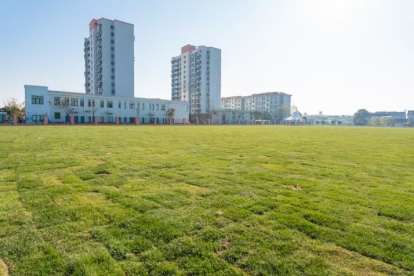 速牛配资 融入基层治理！老港镇这些人大代表的建言促成了百姓呼声化为一桩 “美事”