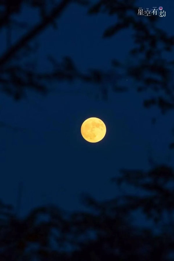 趣炒股 今年中秋有超大满月！最圆时刻是……